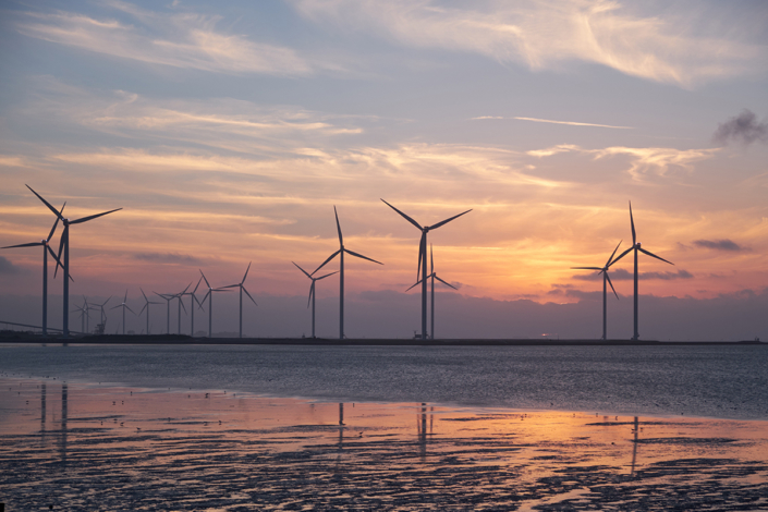 Sustainability and Business Change